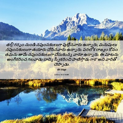 Picture 06 - మత్తయి 19:12 TELIRV - తల్లి గర్భం నుండి - Bible Verse Picture