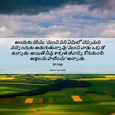 Picture 06 - మత్తయి 19:17 TELIRV - అందుకు యేసు, “మంచి - Bible Verse Picture