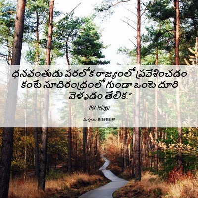Picture 06 - మత్తయి 19:24 TELIRV - ధనవంతుడు పరలోక - Bible Verse Picture