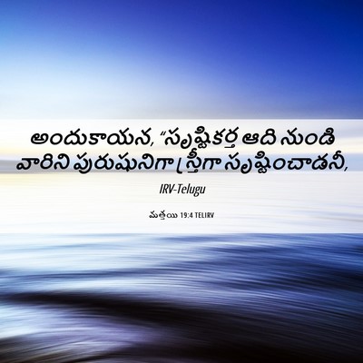 Picture 06 - మత్తయి 19:4 TELIRV - అందుకాయన, - Bible Verse Picture