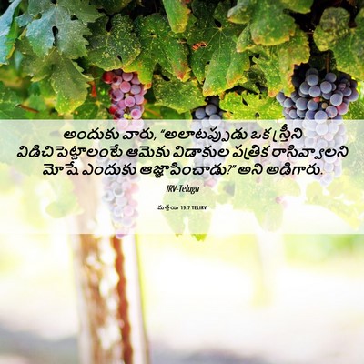 Picture 06 - మత్తయి 19:7 TELIRV - అందుకు వారు, - Bible Verse Picture