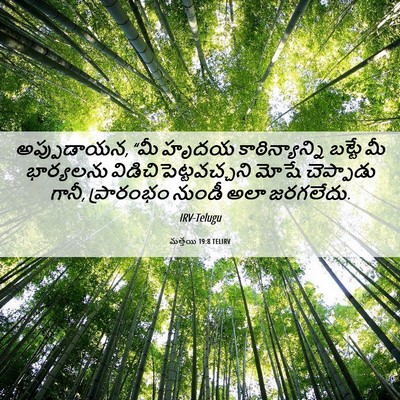 Picture 06 - మత్తయి 19:8 TELIRV - అప్పుడాయన, “మీ - Bible Verse Picture