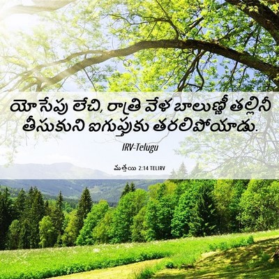 Picture 06 - మత్తయి 2:14 TELIRV - యోసేపు లేచి, - Bible Verse Picture