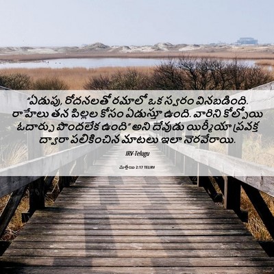 Picture 06 - మత్తయి 2:17 TELIRV - “ఏడుపు, రోదనలతో - Bible Verse Picture