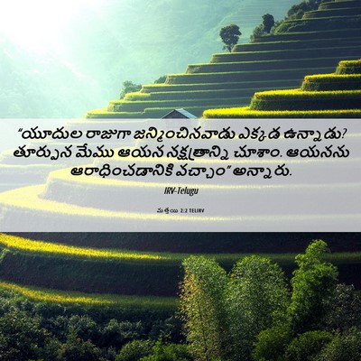 Picture 06 - మత్తయి 2:2 TELIRV - “యూదుల రాజుగా - Bible Verse Picture
