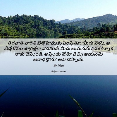Picture 06 - మత్తయి 2:8 TELIRV - తరవాత వారిని - Bible Verse Picture