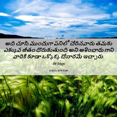 Picture 06 - మత్తయి 20:10 TELIRV - అది చూసి ముందుగా - Bible Verse Picture