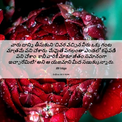 Picture 06 - మత్తయి 20:12 TELIRV - వారు దాన్ని - Bible Verse Picture