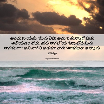 Picture 06 - మత్తయి 20:22 TELIRV - అందుకు యేసు, “మీరు - Bible Verse Picture