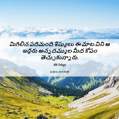 Picture 06 - మత్తయి 20:24 TELIRV - మిగిలిన పదిమంది - Bible Verse Picture