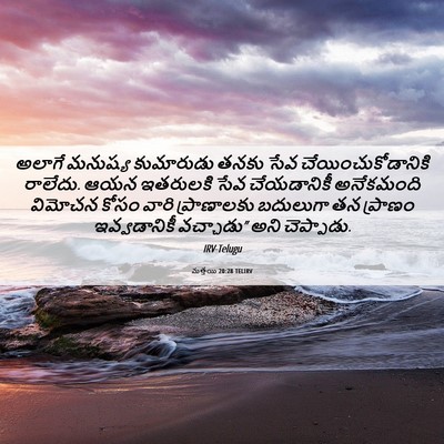 Picture 06 - మత్తయి 20:28 TELIRV - అలాగే మనుష్య - Bible Verse Picture