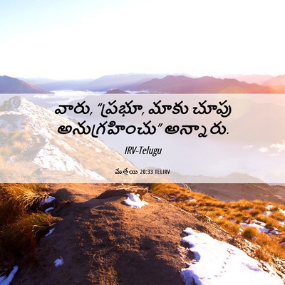 Picture 06 - మత్తయి 20:33 TELIRV - వారు, “ప్రభూ, మాకు - Bible Verse Picture