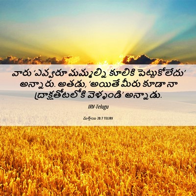 Picture 06 - మత్తయి 20:7 TELIRV - వారు ‘ఎవ్వరూ - Bible Verse Picture