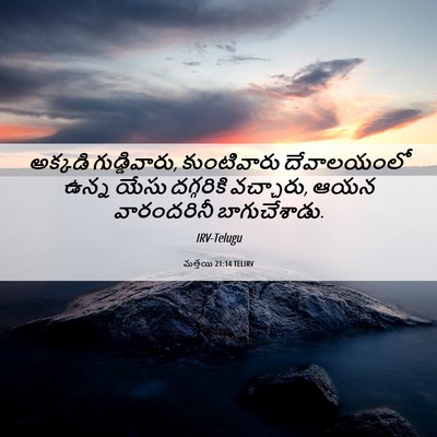 Picture 06 - మత్తయి 21:14 TELIRV - అక్కడి - Bible Verse Picture