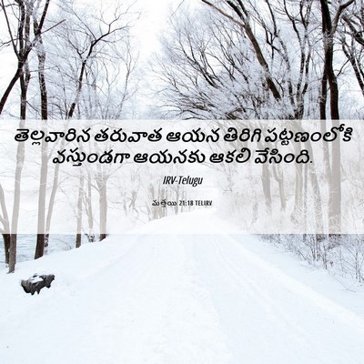 Picture 06 - మత్తయి 21:18 TELIRV - తెల్లవారిన తరువాత - Bible Verse Picture