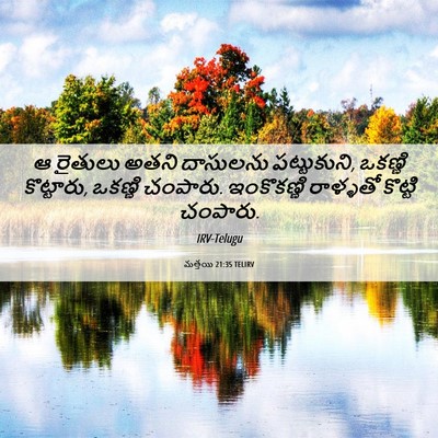 Picture 06 - మత్తయి 21:35 TELIRV - ఆ రైతులు అతని - Bible Verse Picture