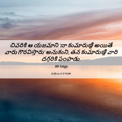 Picture 06 - మత్తయి 21:37 TELIRV - చివరికి ఆ యజమాని - Bible Verse Picture