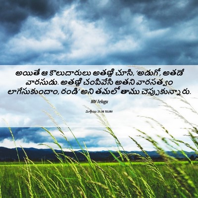 Picture 06 - మత్తయి 21:38 TELIRV - అయితే ఆ - Bible Verse Picture