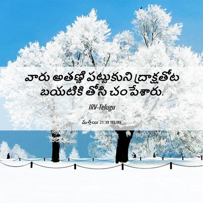 Picture 06 - మత్తయి 21:39 TELIRV - వారు అతణ్ణి - Bible Verse Picture