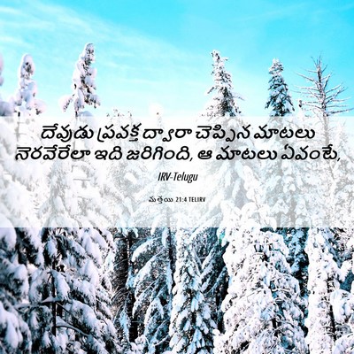 Picture 06 - మత్తయి 21:4 TELIRV - దేవుడు ప్రవక్త - Bible Verse Picture