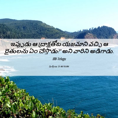 Picture 06 - మత్తయి 21:40 TELIRV - ఇప్పుడు ఆ - Bible Verse Picture