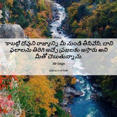 Picture 06 - మత్తయి 21:43 TELIRV - “కాబట్టి దేవుని - Bible Verse Picture