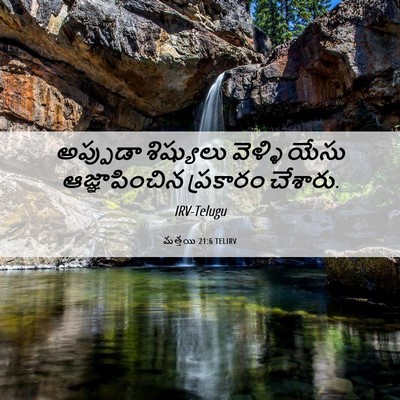 Picture 06 - మత్తయి 21:6 TELIRV - అప్పుడా శిష్యులు - Bible Verse Picture