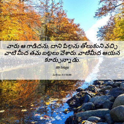 Picture 06 - మత్తయి 21:7 TELIRV - వారు ఆ గాడిదను, - Bible Verse Picture