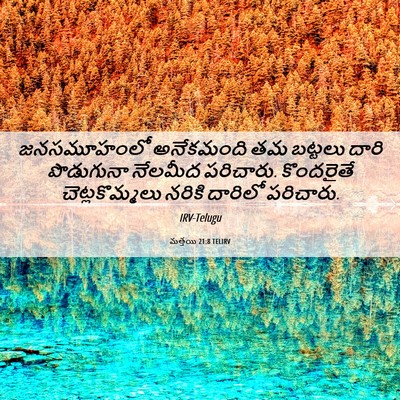 Picture 06 - మత్తయి 21:8 TELIRV - జనసమూహంలో - Bible Verse Picture