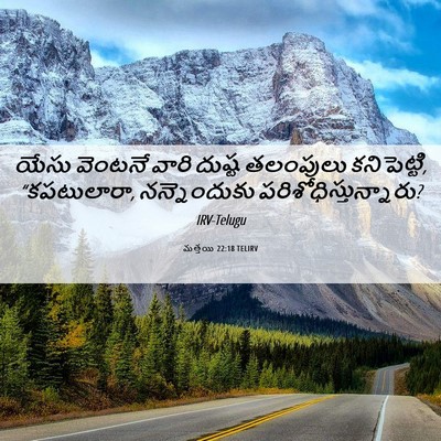 Picture 06 - మత్తయి 22:18 TELIRV - యేసు వెంటనే వారి - Bible Verse Picture