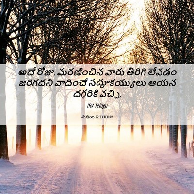Picture 06 - మత్తయి 22:23 TELIRV - అదే రోజు, మరణించిన - Bible Verse Picture