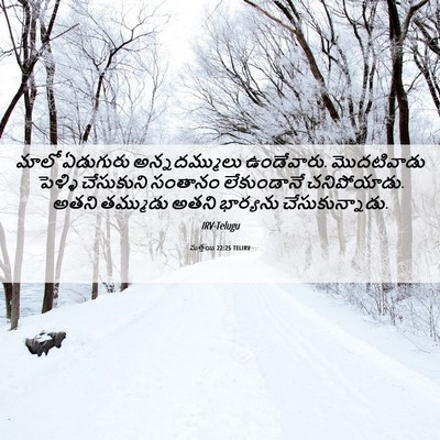 Picture 06 - మత్తయి 22:25 TELIRV - మాలో ఏడుగురు - Bible Verse Picture