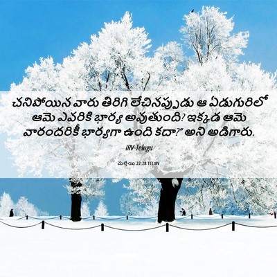 Picture 06 - మత్తయి 22:28 TELIRV - చనిపోయిన వారు - Bible Verse Picture