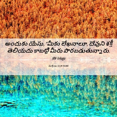 Picture 06 - మత్తయి 22:29 TELIRV - అందుకు యేసు, “మీకు - Bible Verse Picture
