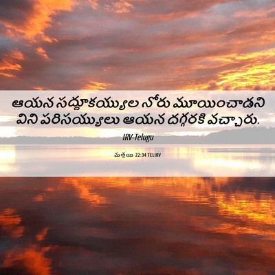 Picture 06 - మత్తయి 22:34 TELIRV - ఆయన సద్దూకయ్యుల - Bible Verse Picture