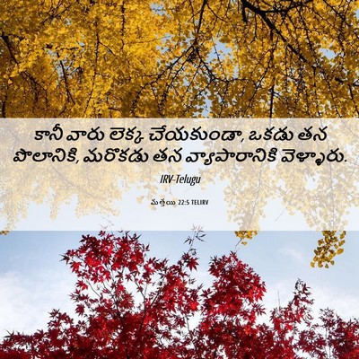 Picture 06 - మత్తయి 22:5 TELIRV - కానీ వారు లెక్క - Bible Verse Picture