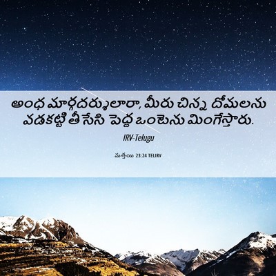 Picture 06 - మత్తయి 23:24 TELIRV - అంధ - Bible Verse Picture