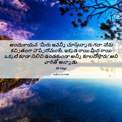 Picture 06 - మత్తయి 24:2 TELIRV - అందుకాయన, “మీరు - Bible Verse Picture