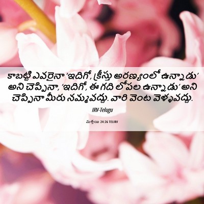 Picture 06 - మత్తయి 24:26 TELIRV - కాబట్టి ఎవరైనా - Bible Verse Picture