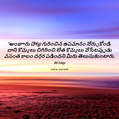 Picture 06 - మత్తయి 24:32 TELIRV - “అంజూరు చెట్టు - Bible Verse Picture