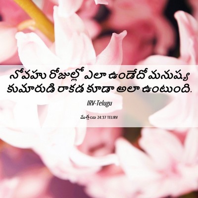 Picture 06 - మత్తయి 24:37 TELIRV - నోవహు రోజుల్లో - Bible Verse Picture