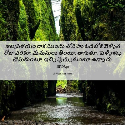 Picture 06 - మత్తయి 24:38 TELIRV - జలప్రళయం రాక - Bible Verse Picture