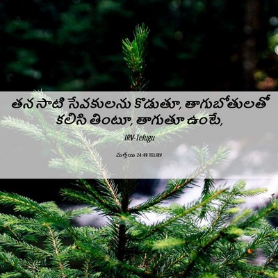 Picture 06 - మత్తయి 24:49 TELIRV - తన సాటి సేవకులను - Bible Verse Picture
