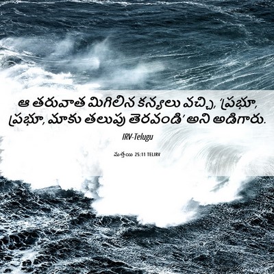 Picture 06 - మత్తయి 25:11 TELIRV - ఆ తరువాత మిగిలిన - Bible Verse Picture