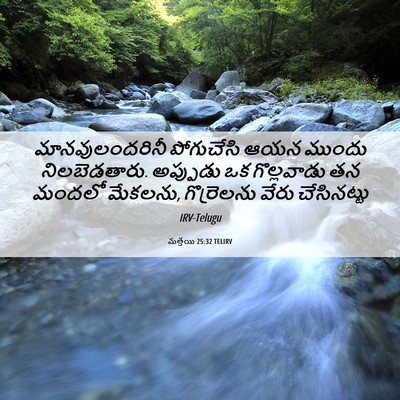 Picture 06 - మత్తయి 25:32 TELIRV - మానవులందరినీ - Bible Verse Picture