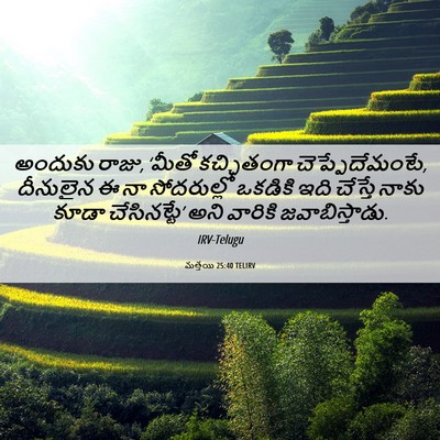 Picture 06 - మత్తయి 25:40 TELIRV - అందుకు రాజు, ‘మీతో - Bible Verse Picture