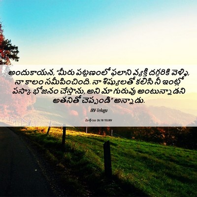 Picture 06 - మత్తయి 26:18 TELIRV - అందుకాయన, “మీరు - Bible Verse Picture