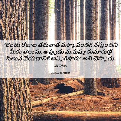 Picture 06 - మత్తయి 26:2 TELIRV - “రెండు రోజుల - Bible Verse Picture