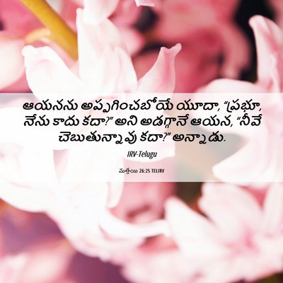 Picture 06 - మత్తయి 26:25 TELIRV - ఆయనను - Bible Verse Picture