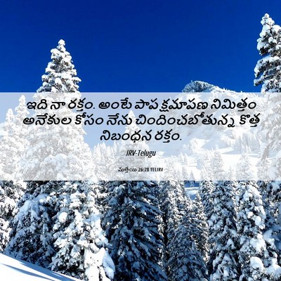 Picture 06 - మత్తయి 26:28 TELIRV - ఇది నా రక్తం. అంటే - Bible Verse Picture